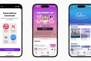 'Hackers' reported on Apple Podcasts app