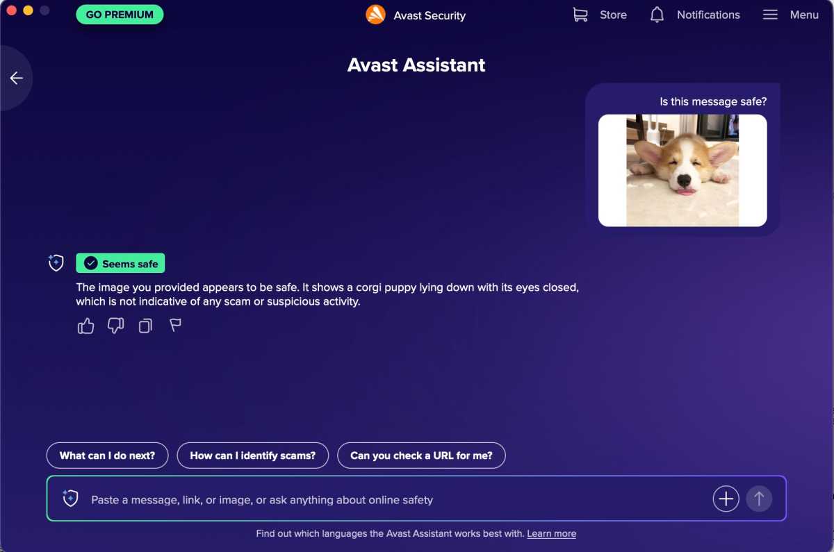 AvastFree Safe puppy