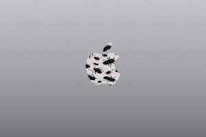 Update now! Apple issues iOS, iPadOS, and macOS updates to fix a critical flaw