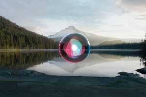 We haven't seen the last of the Apple Car