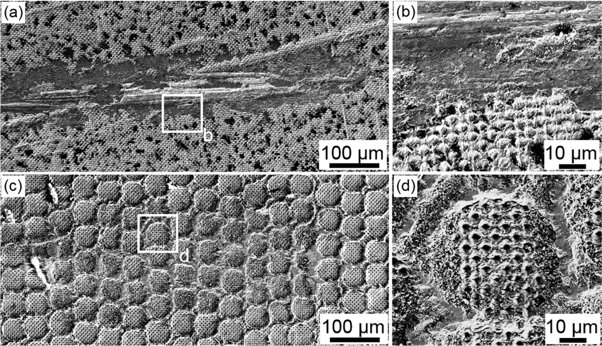 Die mit Laser strukturierte Oberfläche eines Titanimplantats.